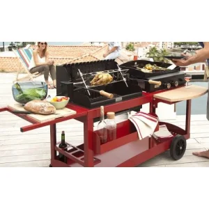 Barbecue MIXTE MENDY ALDE PURE GRILL Lemarquier Rouge Basque – MIVME14V2 nouvelle saison 6